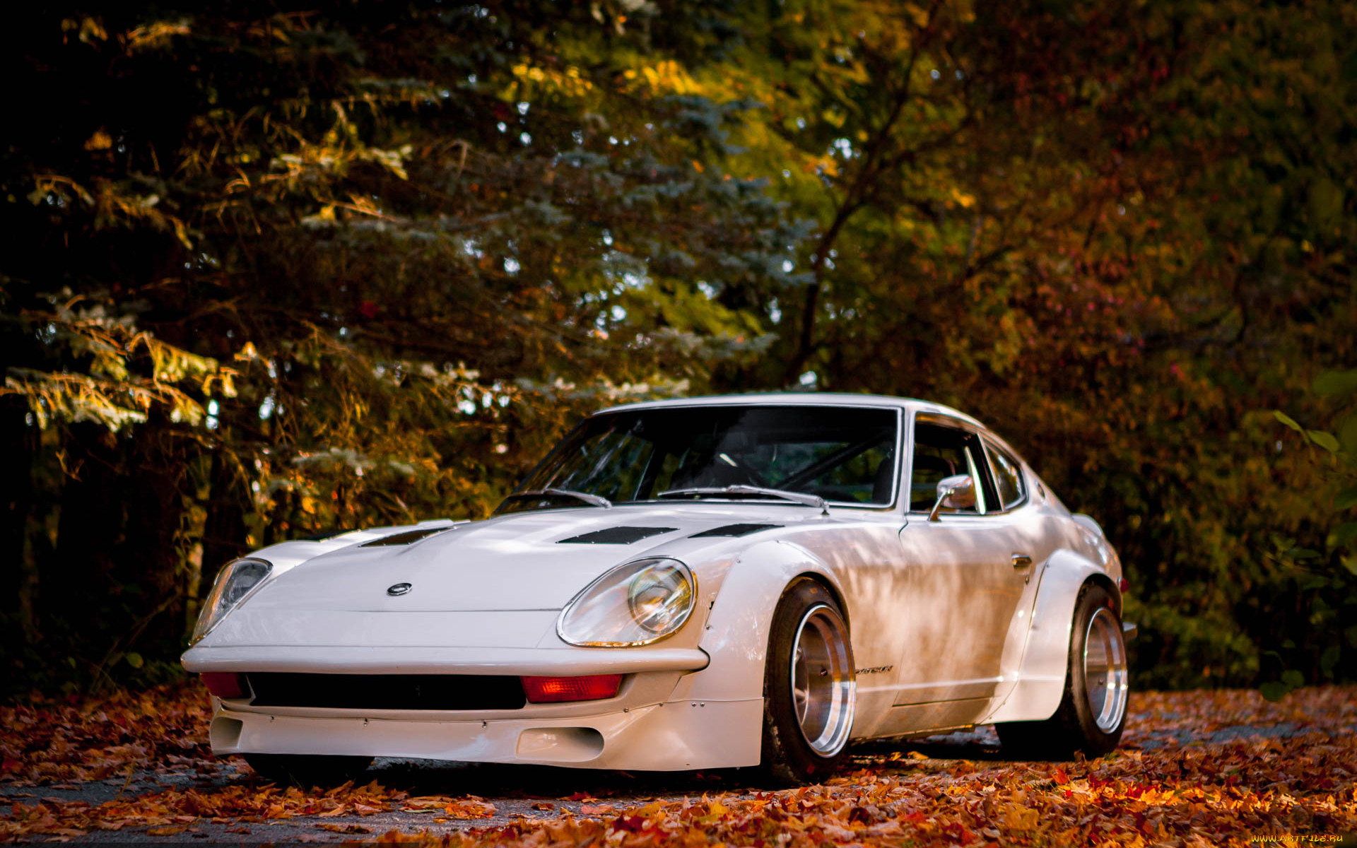 , nissan, datsun